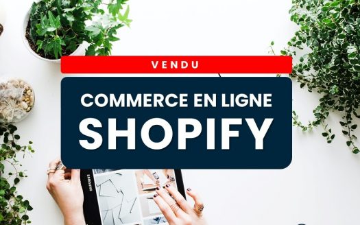 Very Profitable Shopify E-commerce Business