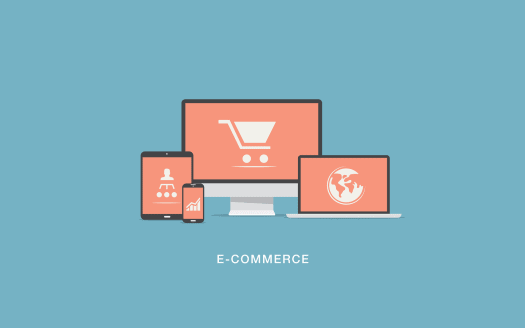 Very Profitable Shopify E-commerce Business